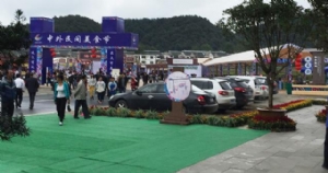 2015年9月贵州首届民族博览会美食节